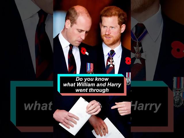 Do you know what William and Harry went through. #royal #celebrity #princewilliam #princeharry