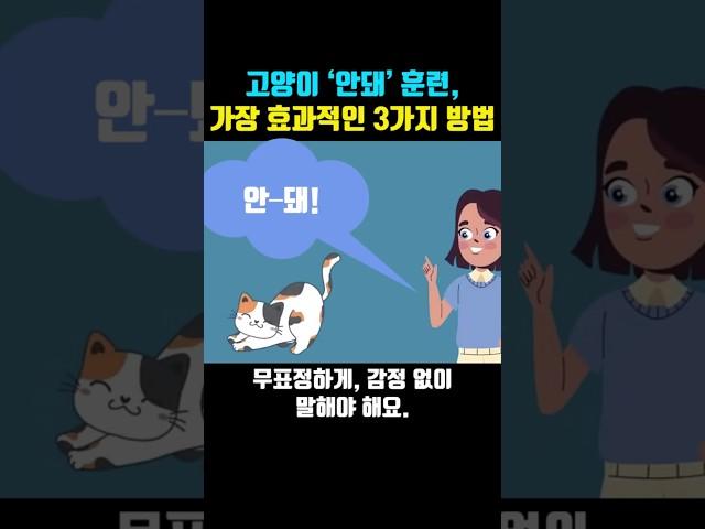 고양이 ‘안돼’ 훈련, 가장 효과적인 3가지 방법!