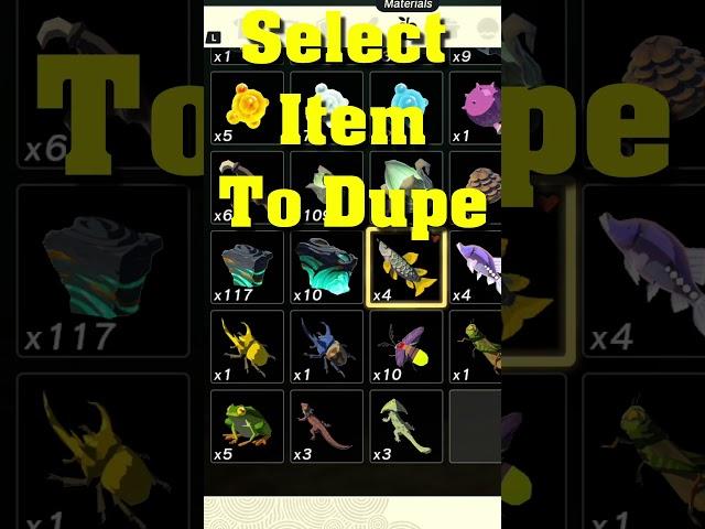 This is the only Dupe you'll need. 3.0!