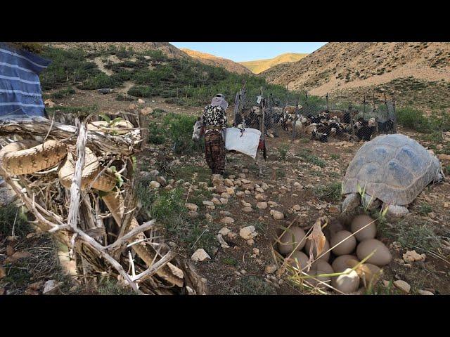 A nomadic man's adventure in the heart of nature: A day full of challenges#nomadic