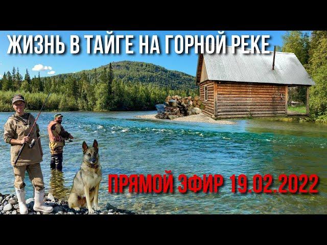 Жизнь в тайге на горной реке | Ответим на  Ваши вопросы | Константин и Наталья Удинцевы | 19.02.2022