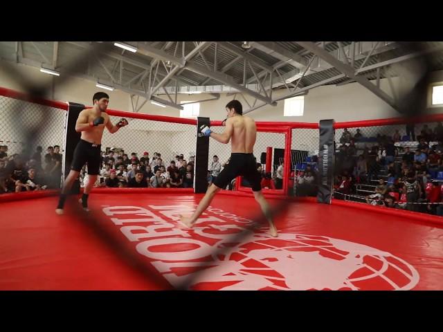 Колизей: Битва Чемпионов 7: Жавлонбек Остонов (Узбекистан) vs. Шумкар Жаркынбаев (Кыргызстан) |66 кг