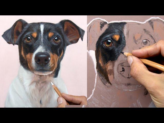 Pet portraits -  Drawing a dog fur - Step-By-Step Pastel Pencil Tutorial