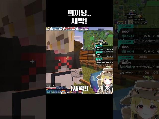 끠끼님 초면에 죄송합니다 #새라새라 #끠끼 #새락