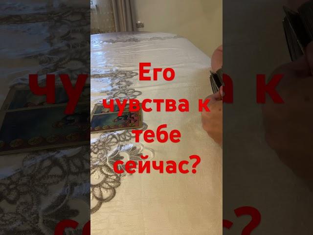 #tarot #shorts #shortstarot #shortvideo #short