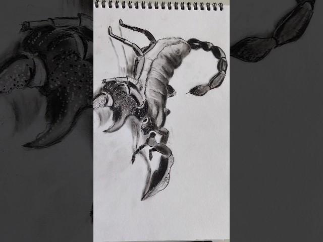 3D scorpion .. realistic drawing #shorts #realistic #art #drawing