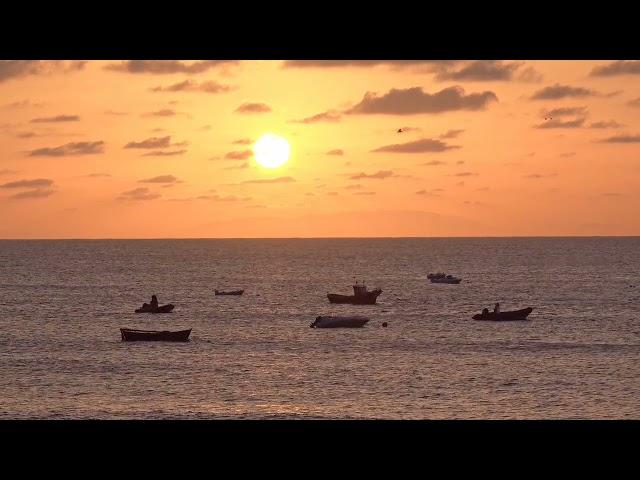 Background Video Pemandangan Senja Laut | Sunset Video