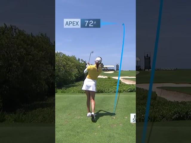A stunning tee shot 