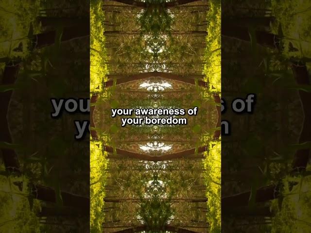 Inner Observer..