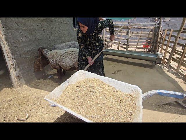 What is The Cameraman's opinion About the Building master? Her Conversation with Sakineh