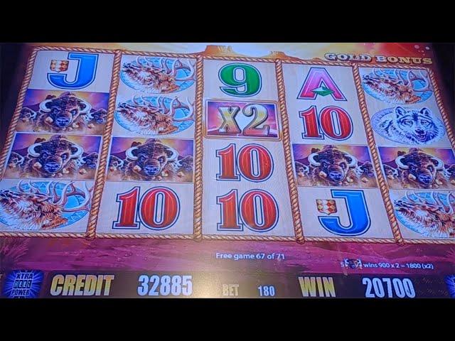 GREAT BONUS WIN With 71 Free Games On BUFFALO GOLD Slot Machine - SunFlower Slots