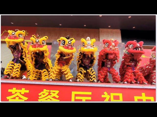 Chinese Lion Dance 中國醒獅 金獅紅獅 生意興隆 中山坦洲