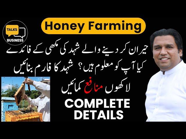 Start Your Own Honey Farming Business in Pakistan | The Ultimate Beekeeping Guide for Beginners!!