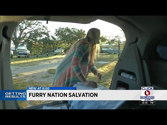 Furry Nation Salvation TNR volunteer wins Getting Results Award