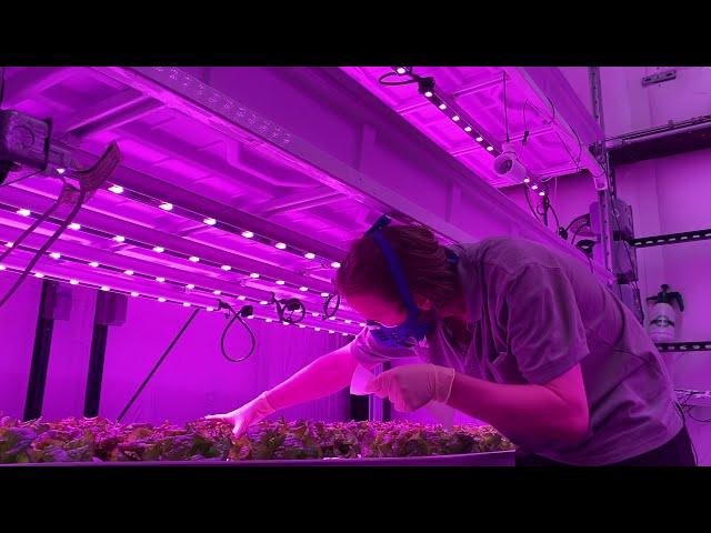 CEAC Student Spotlight: KC Shasteen