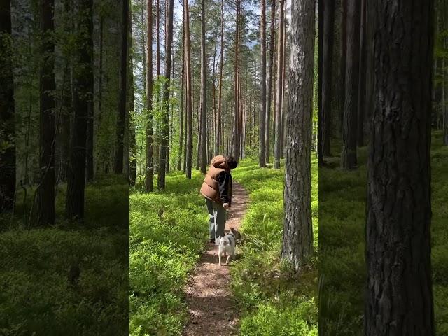 Экотропа «Гряда Вярямянселькя»