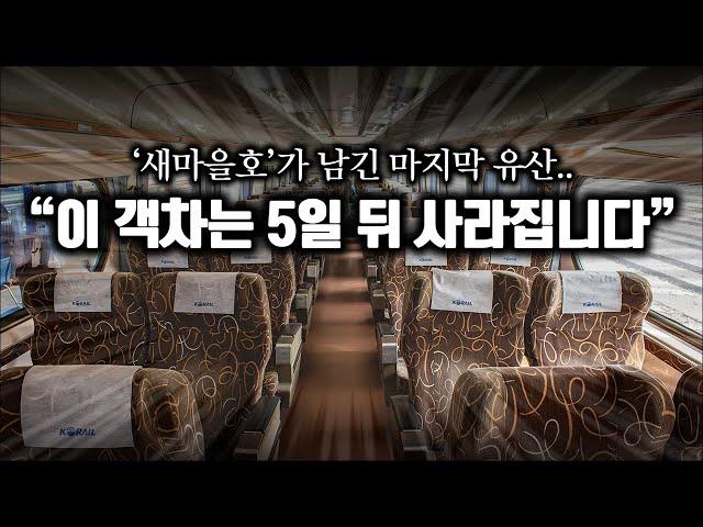 "가장 편안하고 안락한 무궁화호 1호차를 아시나요? / 태백선 무궁화호 격하특실 탑승기