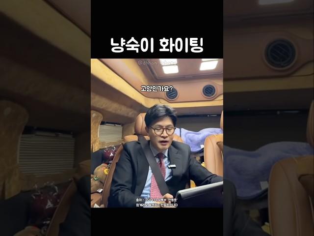 고양이도 화이팅 해주는 한동훈 정상수