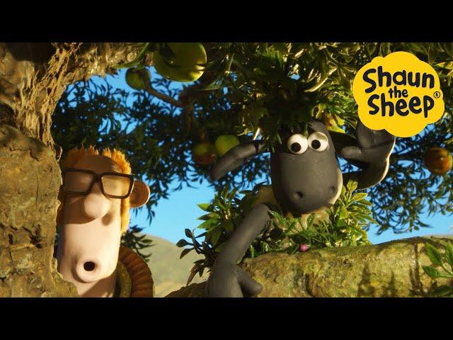 LIVE  NEW FULL EPISODES Cartoons for kids, Preschool, Shaun the Sheep