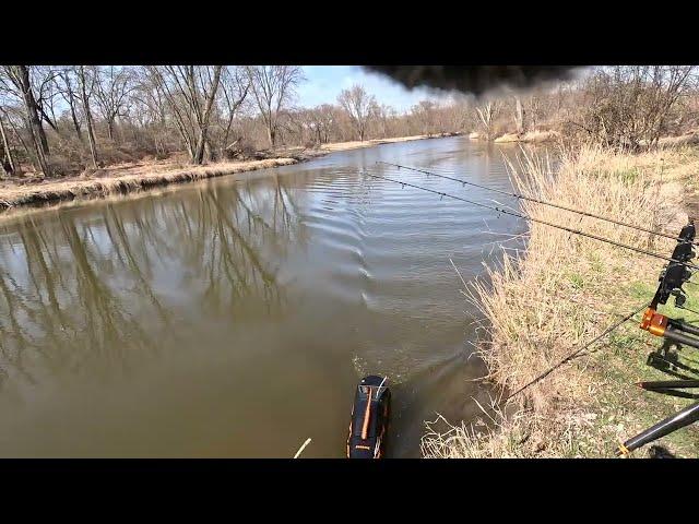 Panama Phantom River Bait Boat - carp fishing at 230 yards!