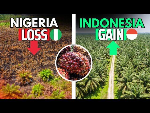 How Nigeria Lost a Billion-Dollar Palm Oil Industry to Indonesia and Malaysia