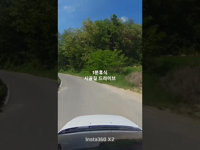 (1분휴식)시골길 드라이브 #1분힐링 #1분 드라이브