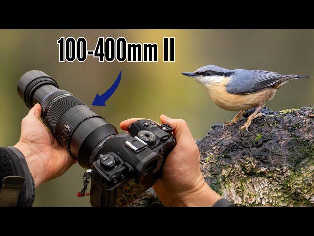 Relaxing POV Nature Photography | M.Zuiko 100-400mm Mark II