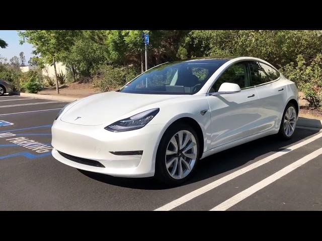 Hand Cut Paint Protection Film Tesla Model 3 -Adonis Detail