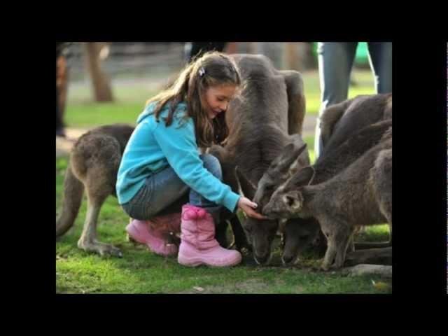 Pavel Levin - Kinder Yoren.wmv