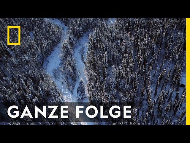 Unbekanntes Terrain - Ganze Folge | Alaska: Eisige Freiheit