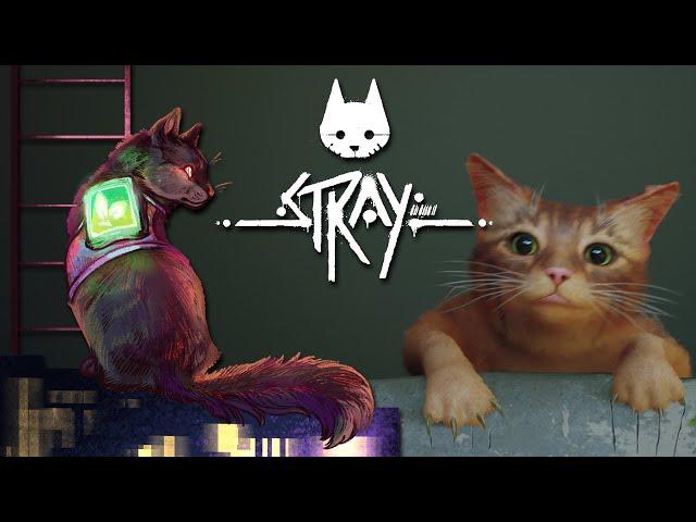 We've Made a Fatal Mistake  Stray • #1