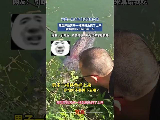 萬萬沒想到 #意外 #有趣 #萬萬沒想到 #神奇 #釣魚 #魚 #amazing #funny #fish #shorts