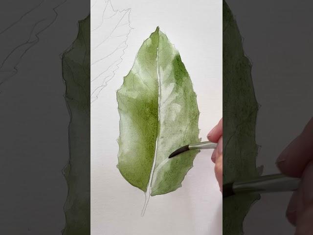 Day 21 Lifting watercolors #watercolor #watercolorpainting #arttutorial #art #realisticart #painting