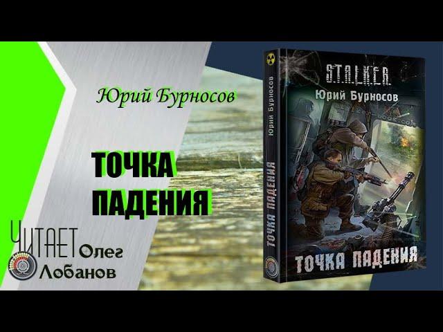 Юрий Бурносов. Точка падения. Серия S.T.A.L.K.E.R.