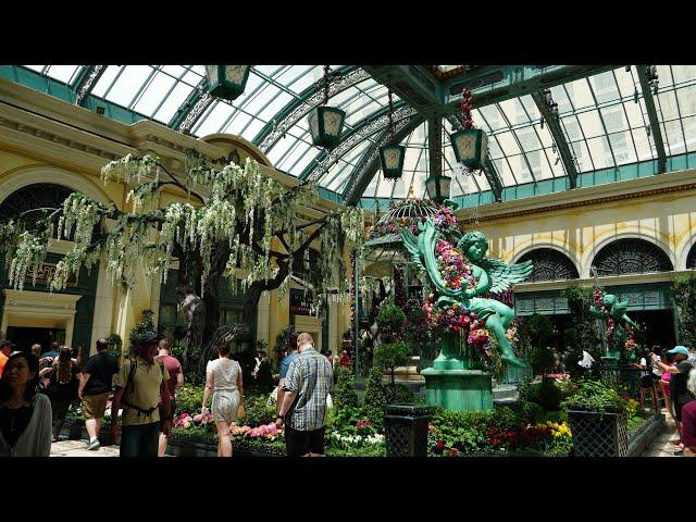 ALL 5 BELLAGIO CONSERVATORY SEASONAL DISPLAYS! (4K)