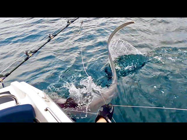 This MONSTER took so long to catch!!! - Friends catch HUGE SHARK | The Fish Locker