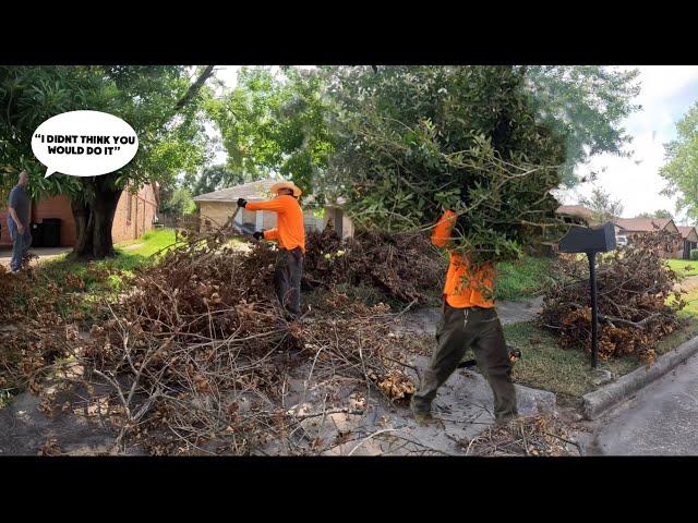 INSANE yard cleanup after HURRICANE DESTRUCTION- owner couldn’t believe it!