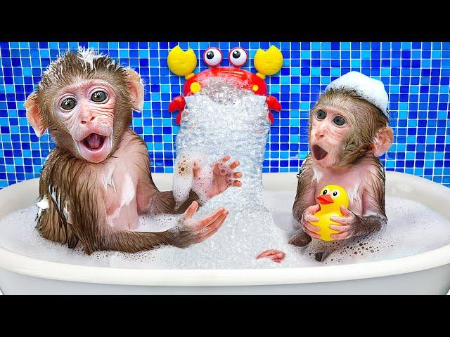 KiKi Monkey bathing in Foamy Bathtub in toilet with Duckling and go swimming pool | KUDO ANIMAL KIKI