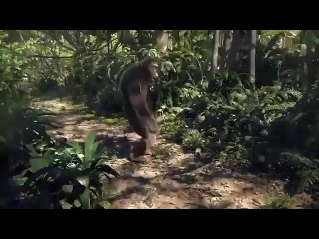 springtrap 86 y sus novios en la vida real
