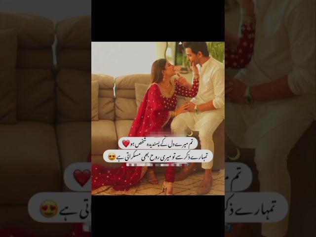 New Urdu Love Poetry  #lovelypoetry #ishq #americanbully
