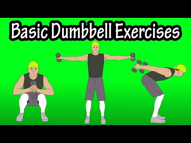 Basic Beginner Introductory Easy Dumbbell Workout Exercises For Beginners At Home At The Gym