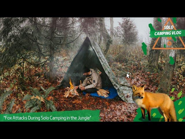 "Fox Attacks During Solo Camping in the Jungle" । Camping In Forest । Night Stay In Jungle