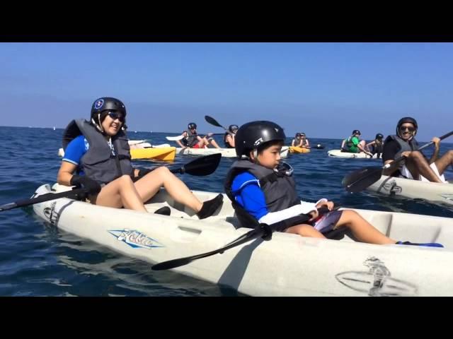 La Jolla Shores Ocean Kayak Tour