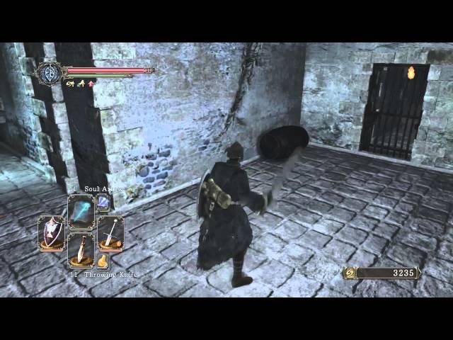Dark Souls 2 - Hidden Walls - The Lost Bastille And Belfry Luna