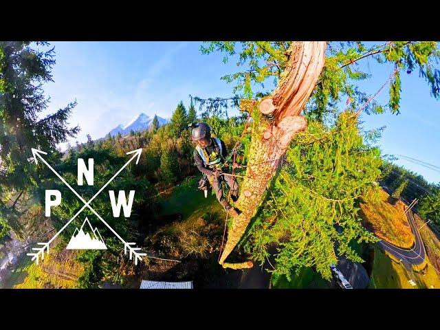 Storm Damaged Tree Removals In The Pacific Northwest