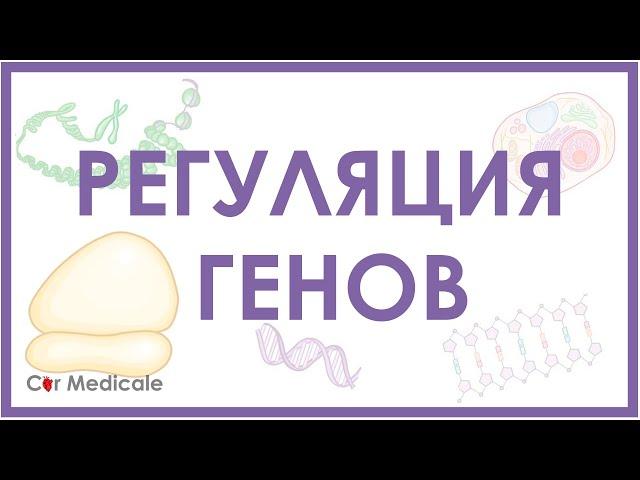 Регуляция экспрессии генов