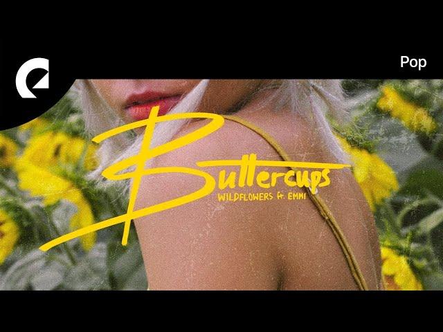 Wildflowers feat. Emmi - Ain't Nobody Like You