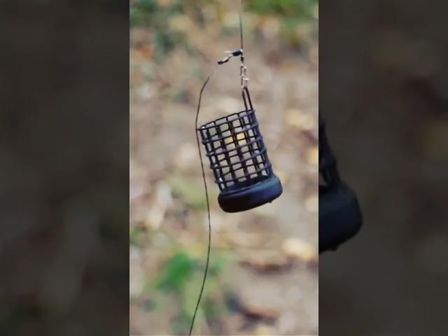 Монтаж Инлайн на Леща! Оснастка для Фидера 2024! #fishing #рыбалка #фидер #feeder #shorts