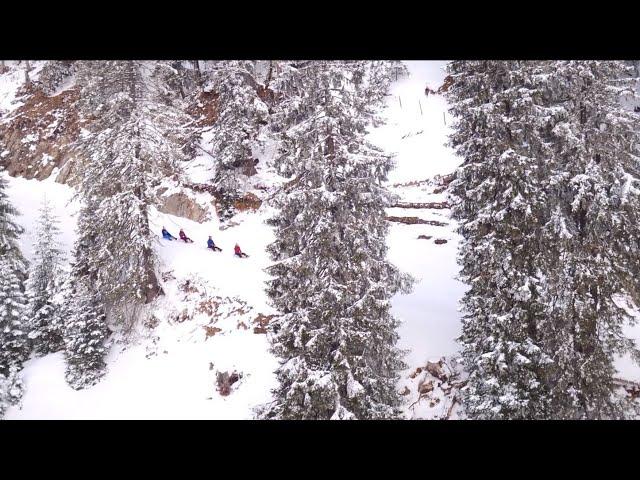 Rodeln im Allgäu - Winterurlaub in Pfronten im Allgäu