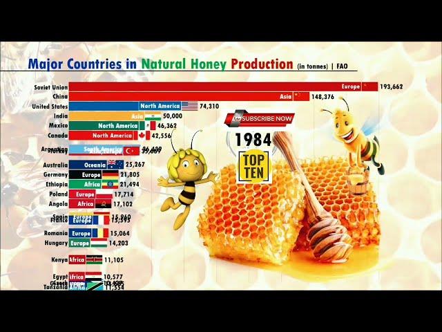 Major countries in natural Honey production • Daily Show With Erfan • Top 10 Honey producer country